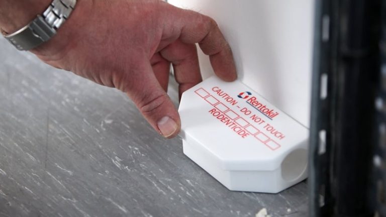 Read more about the article Rentokil posts 3% organic revenue growth in Q4