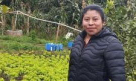 The US farm workers coming from Guatemala – on a legal visa