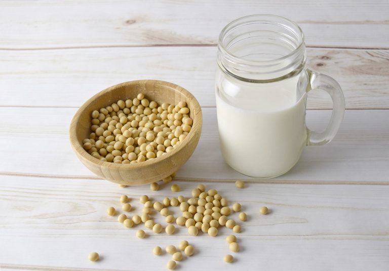 Read more about the article Soybean Firm Up on Tuesday