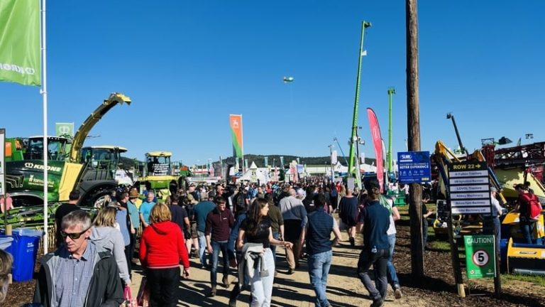 Read more about the article Profits jump at National Ploughing Championship firm