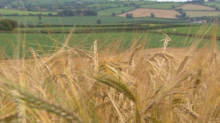Read more about the article Over 13,000 farmers still waiting for ACRES payments