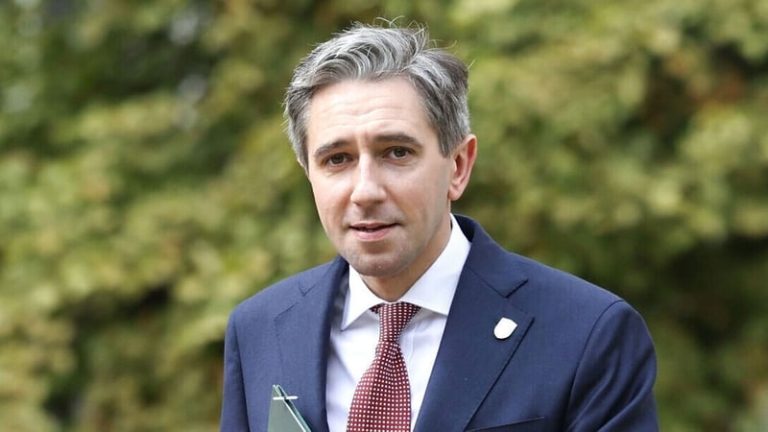 Read more about the article Ireland in ‘full preparatory mode’ ahead of any tariffs