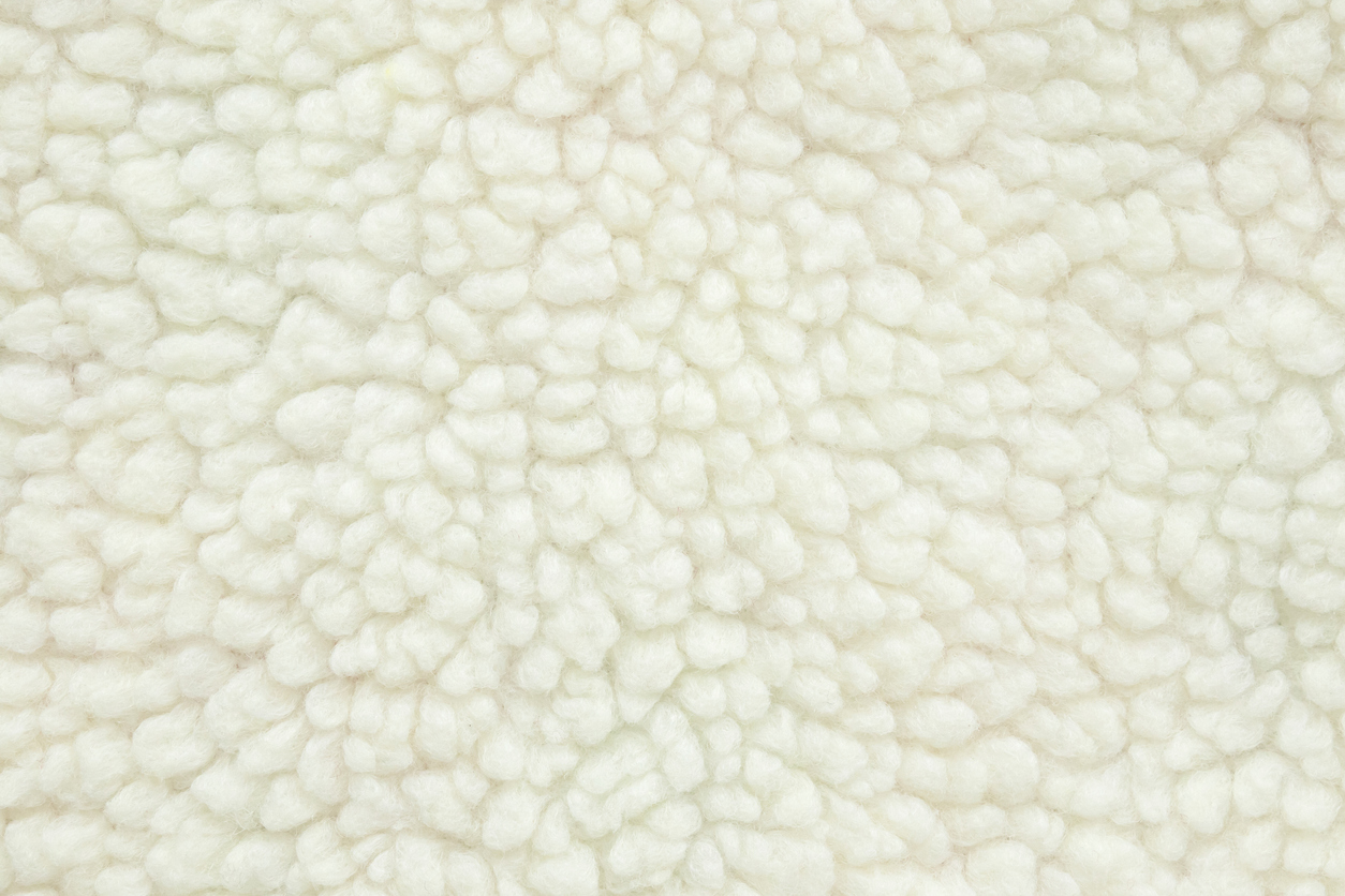 cotton-holds-steady-on-thursday