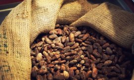 Climate change threatening chocolate, charity warns