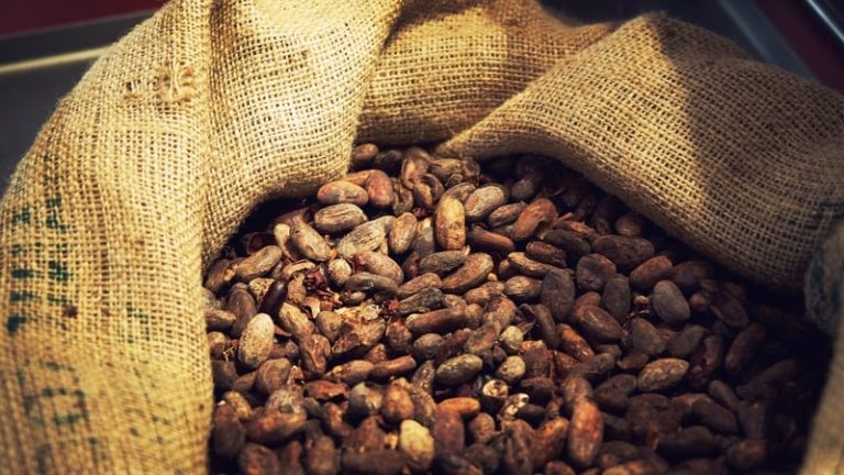 Read more about the article Climate change threatening chocolate, charity warns