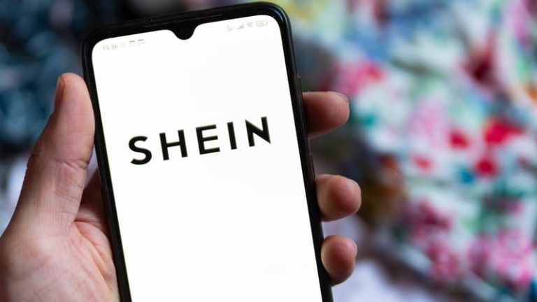 Read more about the article Shein’s IPO to be delayed to second-half, FT reports