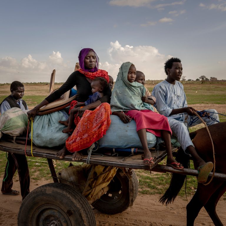 Read more about the article The New York Times Wins 3 Polk Awards