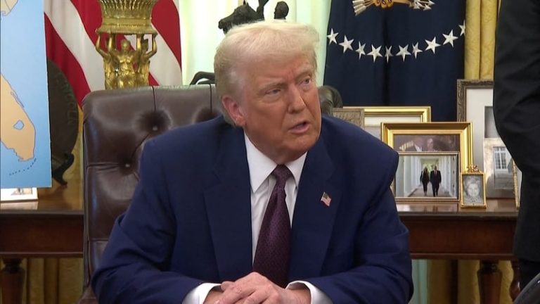 Read more about the article Trump says to introduce 25% tariffs on cars, pharma