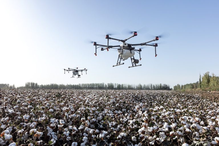 Read more about the article Cotton Holds onto Tuesday Gains