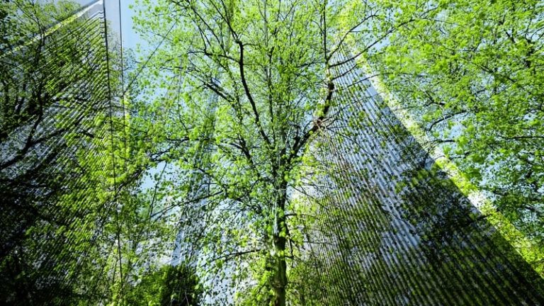 Read more about the article Going Green: How to make your business more sustainable