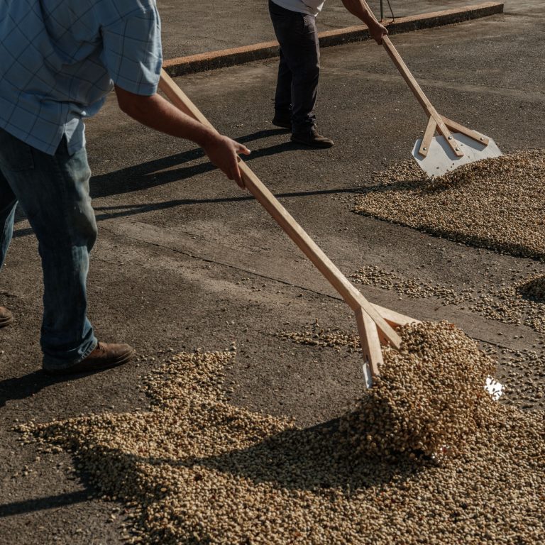 Read more about the article Coffee Prices Are Soaring, but Growers Aren’t Celebrating