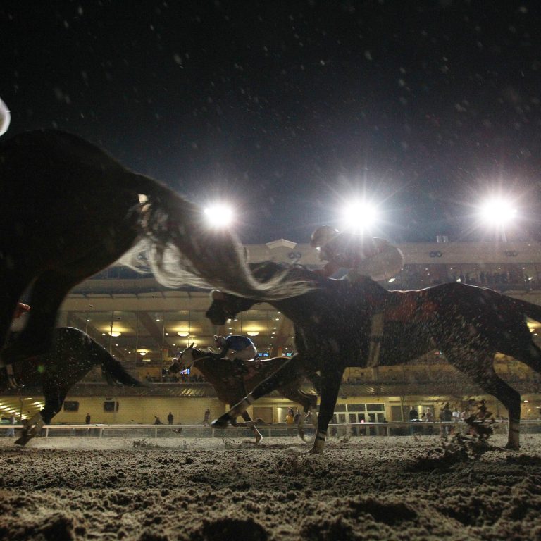 Read more about the article Veterinarian and 13 Horse Trainers Violated Drug Rules, U.S. Regulator Says