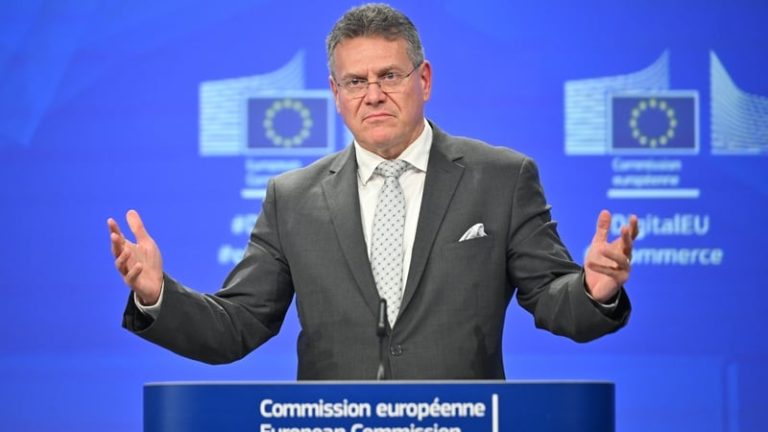 Read more about the article EU trade commissioner tries to head off US tariff threat
