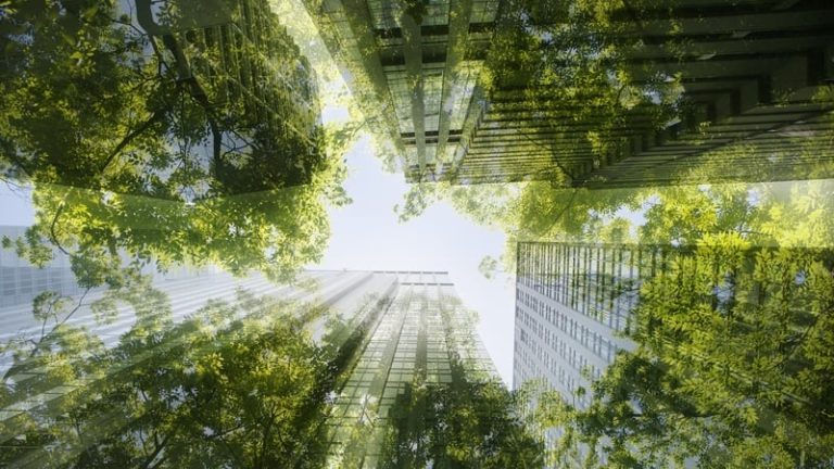 Read more about the article Europe set to change corporate sustainability rules