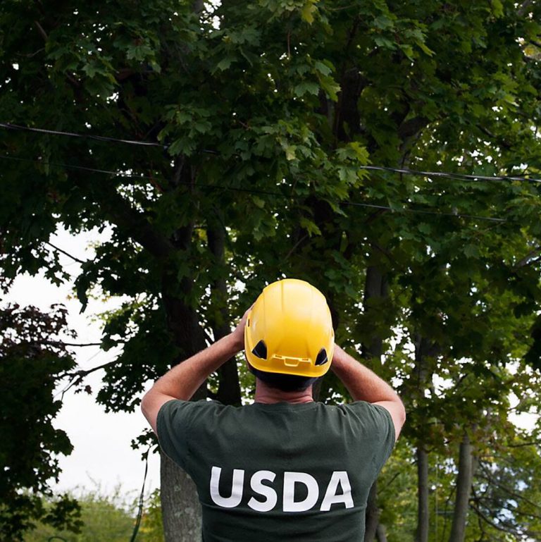 Read more about the article Mass Federal Firings May Imperil Pets, Cattle and Crops