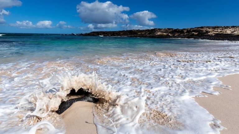 Read more about the article 2025 travel trends – adventures, booking and cruises