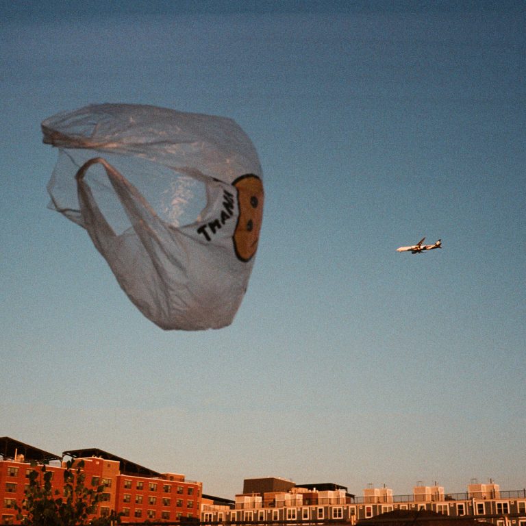 Read more about the article Plastic Bags Were Banned in NYC 5 Years Ago. They’re Still Floating Around.