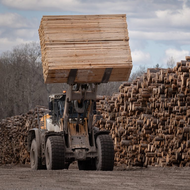 Read more about the article Trump Picks Another Trade Fight With Canada Over Lumber
