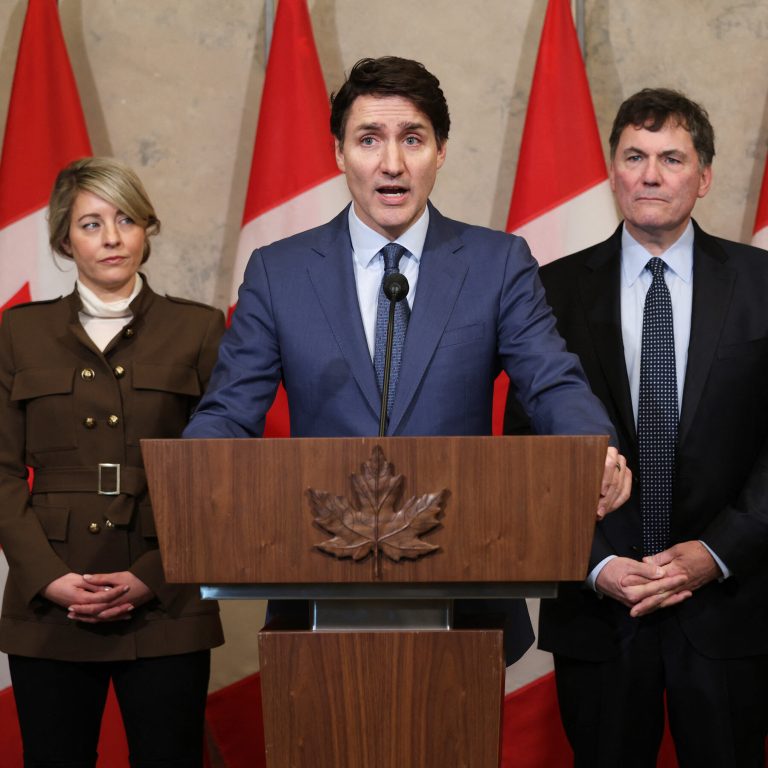 Read more about the article Canada and China Retaliate Against Trump’s Tariffs, Amid Fears of Trade War