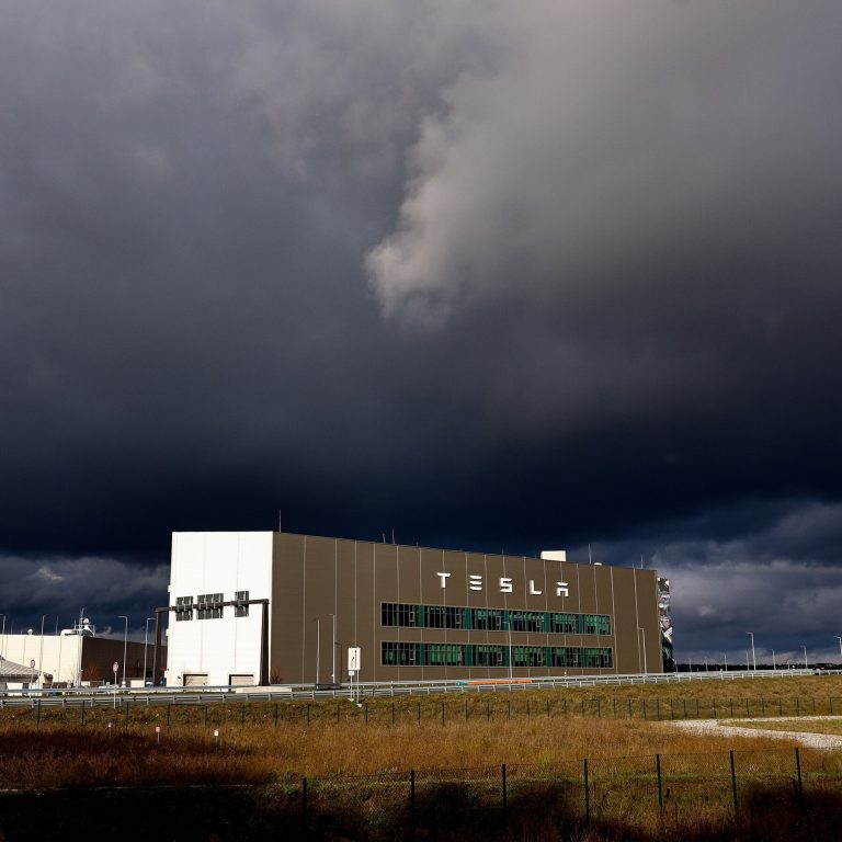 Read more about the article Tesla’s EU Sales Drop as Anger Toward Elon Musk Grows