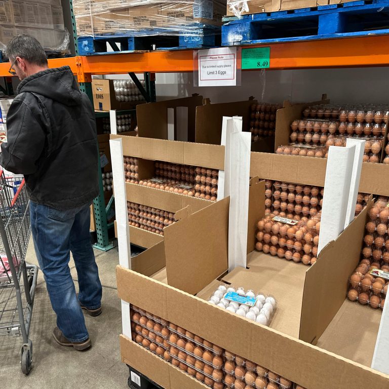 Read more about the article U.S. Investigates Egg Producers Over Soaring Prices
