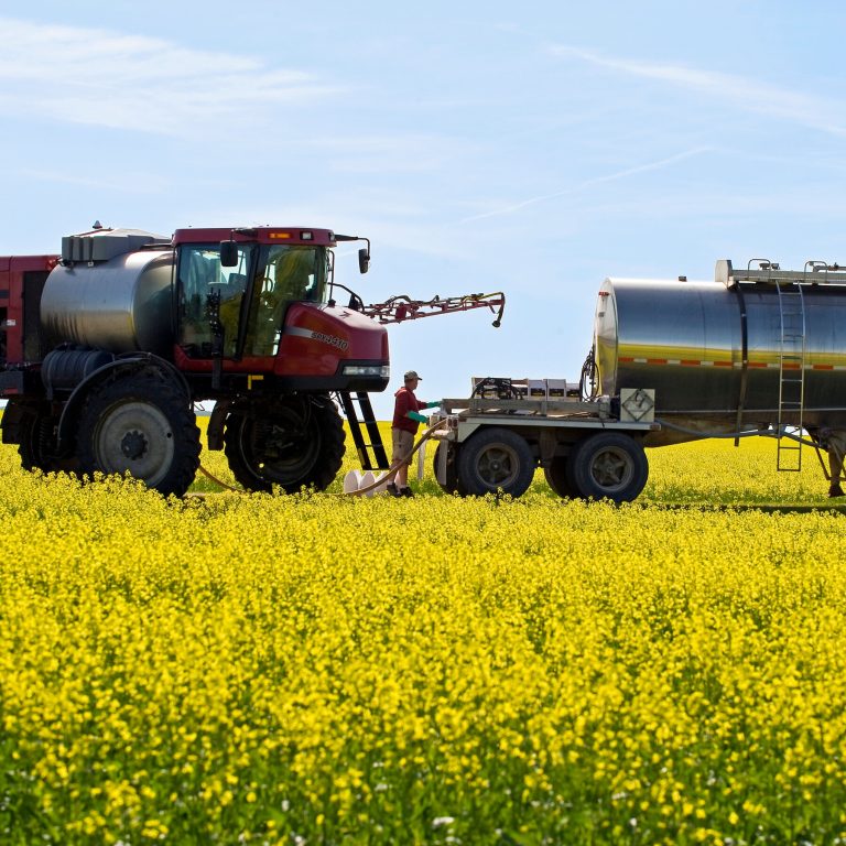 Read more about the article China Hits Canada With Tariffs in Indirect Riposte to Trump