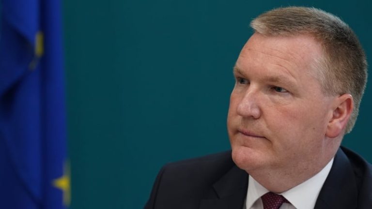 Read more about the article Social media platforms ‘must respect EU rules’ – McGrath