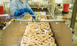 China’s Tariffs on U.S. Agricultural Products Take Effect