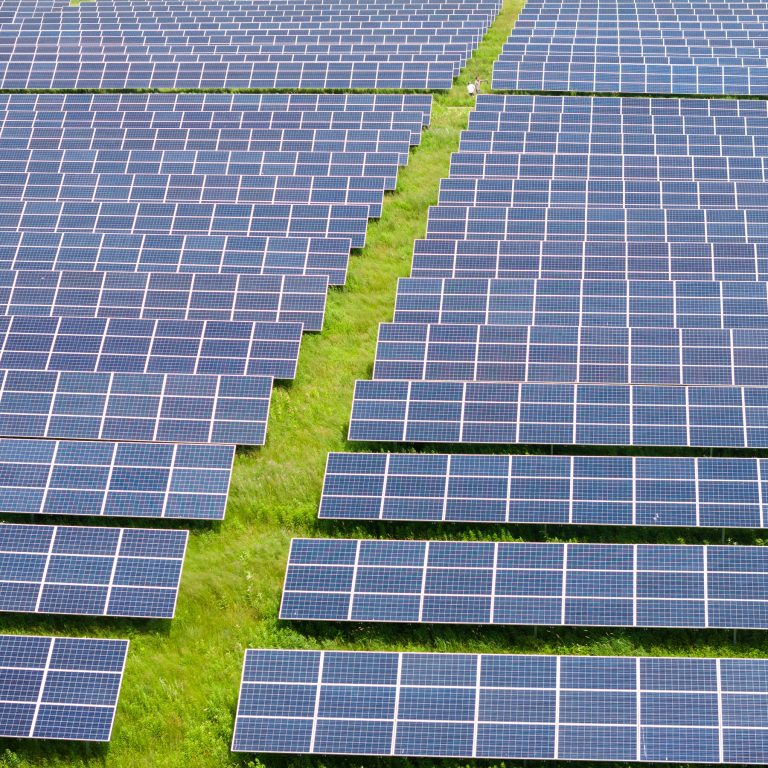 Read more about the article Solar Energy, Criticized by Trump, Claims Big U.S. Gain in 2024