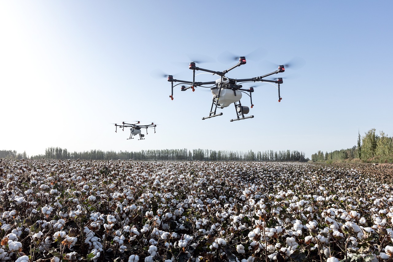 cotton-holds-steady-at-the-closing-bell