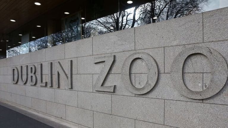 Read more about the article Two to be sentenced after Dublin Zoo defrauded of €500k