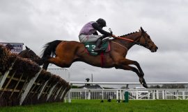Offaly’s Future Ticketing a sure bet at Cheltenham