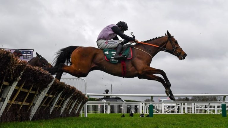 Read more about the article Offaly’s Future Ticketing a sure bet at Cheltenham