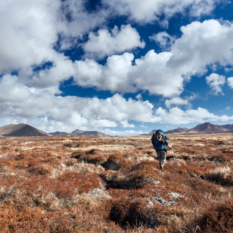 Read more about the article How Trump Cuts Could Change Your Summer Hiking Trip