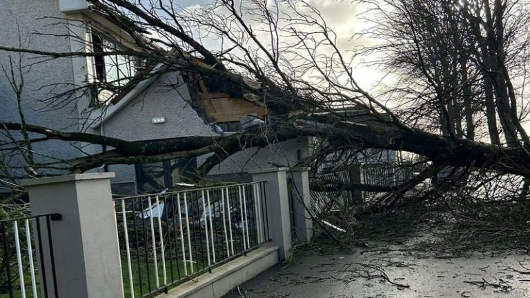 Read more about the article Claims of up to €240m due to damage caused by Storm Éowyn
