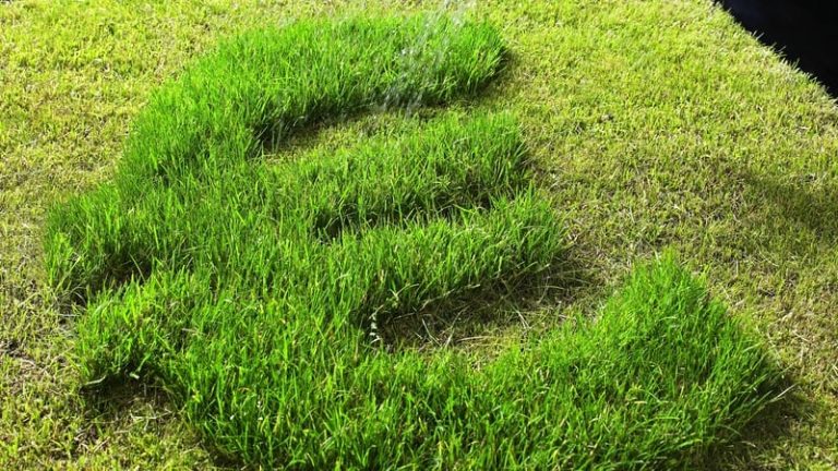 Read more about the article AIB raises €500m in seventh green bond issuance