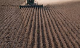 Farmers Have Fair Trade Complaints, but Tariffs Are a Bigger Worry