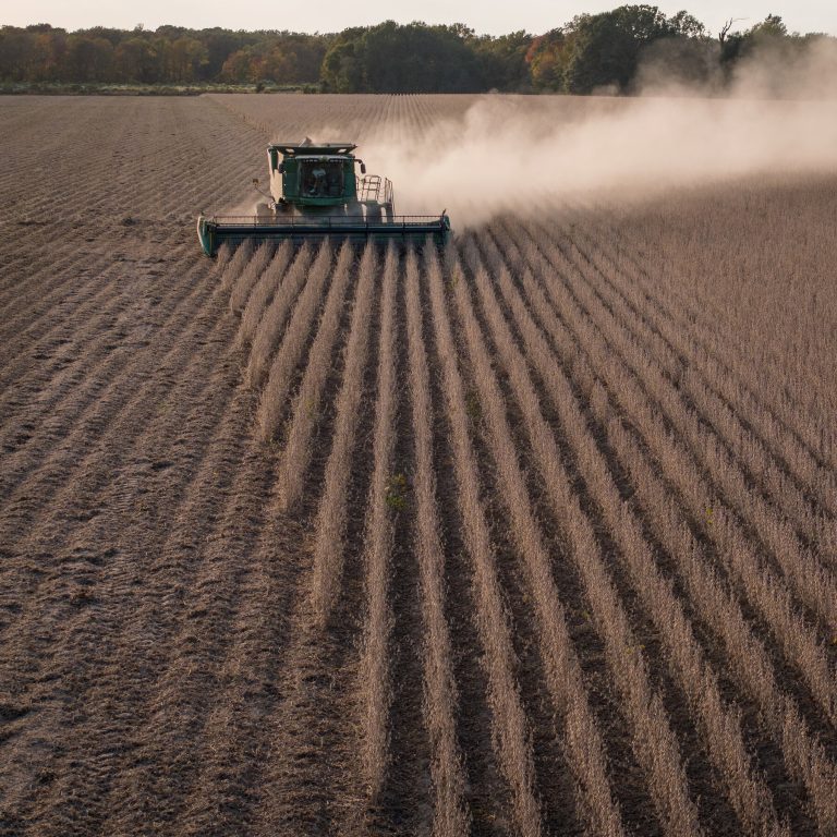Read more about the article Farmers Have Fair Trade Complaints, but Tariffs Are a Bigger Worry