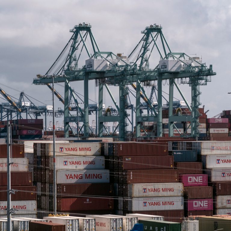 Read more about the article Trump’s Tariffs Have Sown Uncertainty. That Might Be the Point.