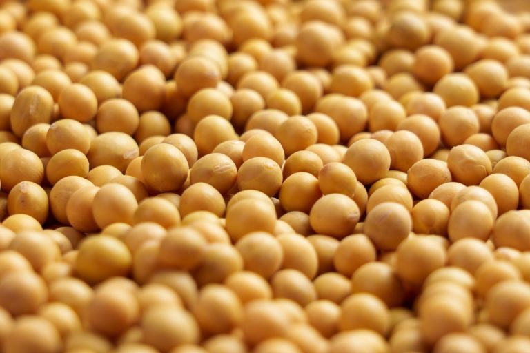 Read more about the article Soybeans Higher So Far on Thursday