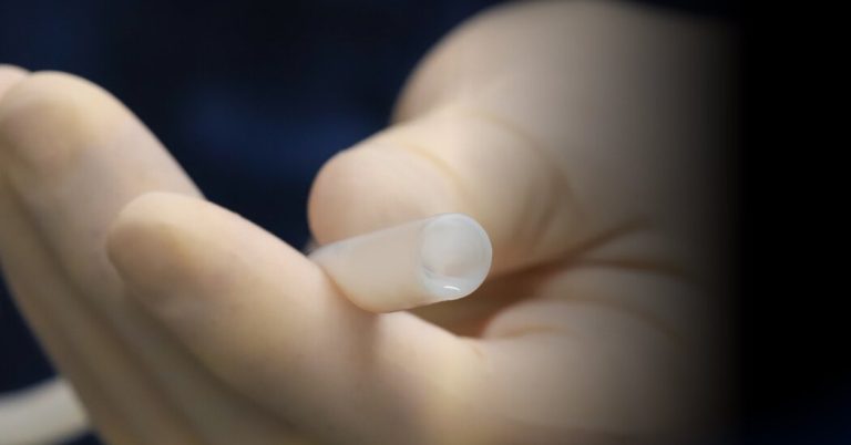 Read more about the article FDA Approved Artificial Blood Vessel Despite Warnings