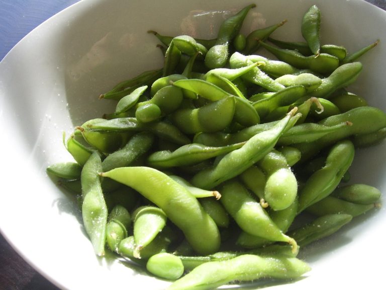 Read more about the article Soybeans Close Lower on Monday