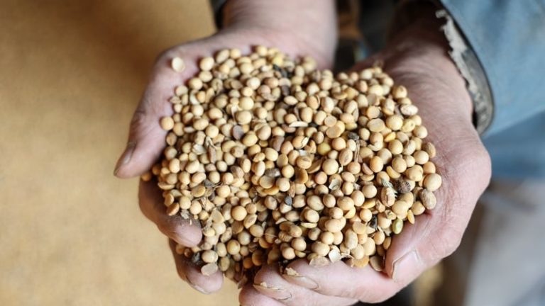Read more about the article What US exports has China hit with retaliatory tariffs?