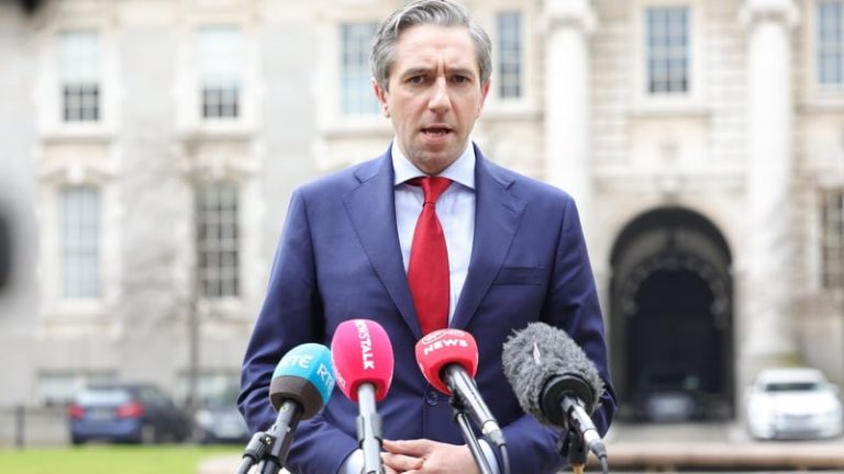 Read more about the article Tánaiste to travel to US to meet Commerce Secretary