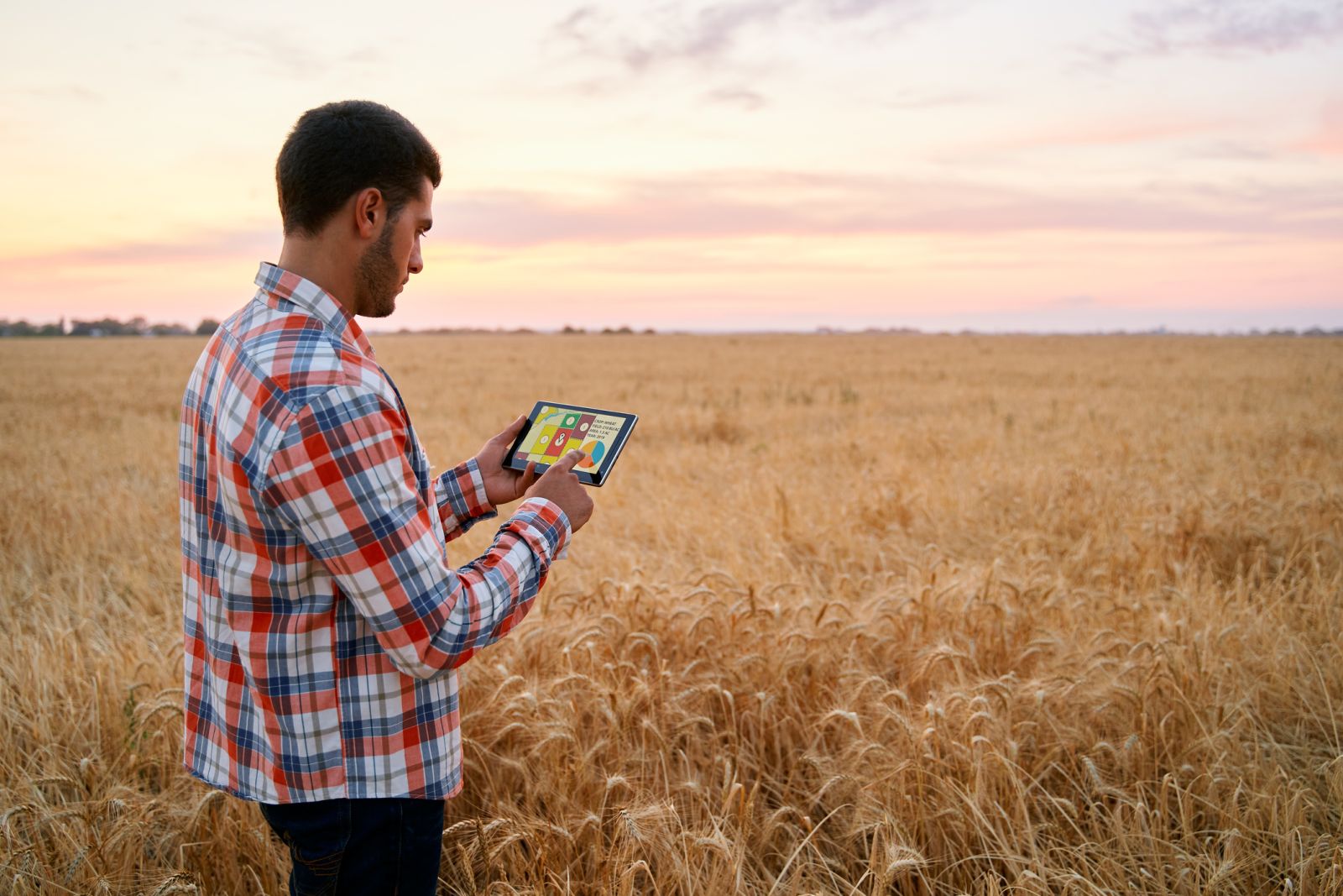 wheat-holds-losses-into-friday’s-close