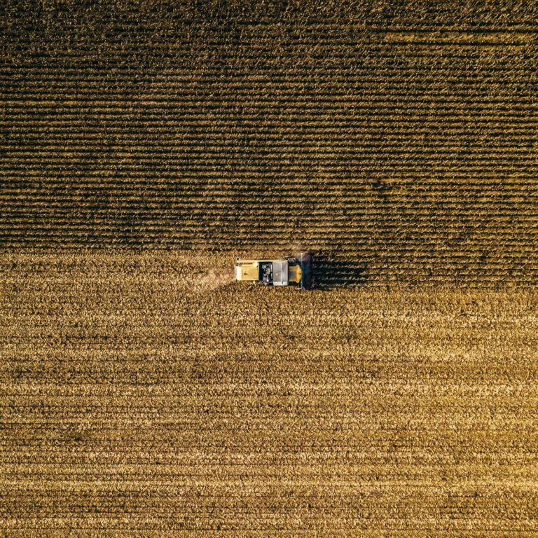 Read more about the article Wheat Posting Weakness at Midday