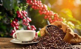 Dollar Weakness and Forecasts for Limited Rain in Brazil Push Coffee Prices Higher
