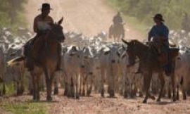 Could South America benefit from Trump’s trade tariffs?