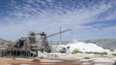 Read more about the article China has halted rare earth exports, can Australia step up?