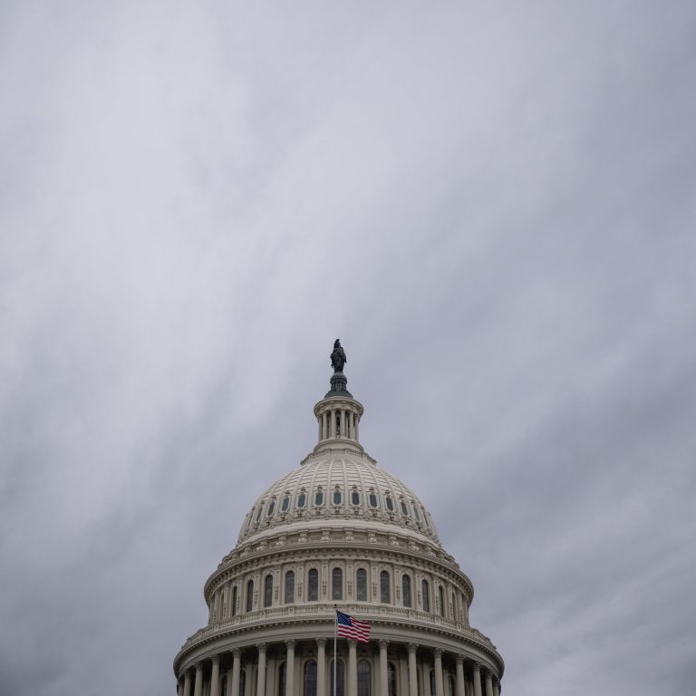 Read more about the article Trump Budget to Take Ax to ‘Radical’ Safety Net Programs